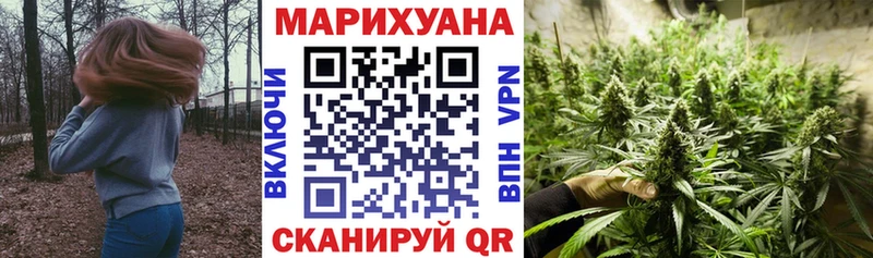 Конопля Кировград