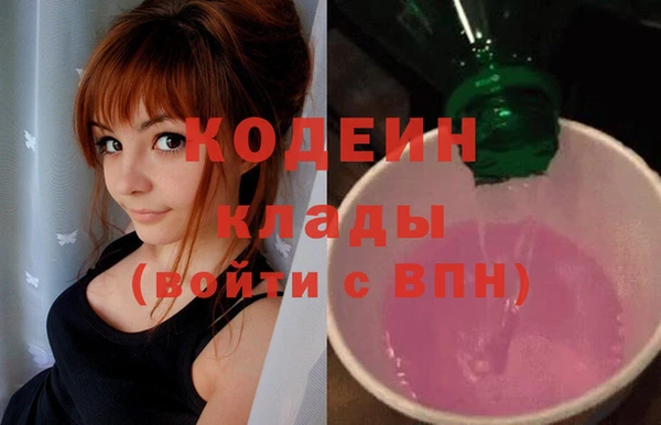 спиды Новозыбков