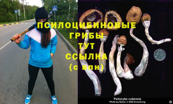 таблы Бабаево