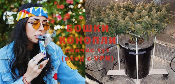 спиды Новозыбков